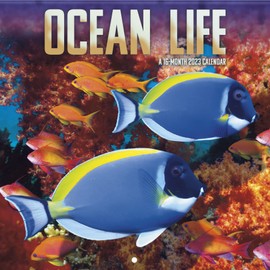 2023 Ocean Life Wall Calendar
