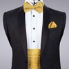 Alizeal Men's Modern Paisley Cravat & Pocket Square Set, 133-Golden