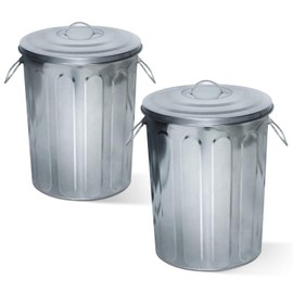 Plexon 5 Gallon Small Metal Trash Can with Lid Outdoor Galvanized Bucket with Lid 5 Gal Fireplace Ash Bucket for Wood Stove Storage Can for Dog Food Bird Seed Storage Container Rodent Pet Proof 2 Pack