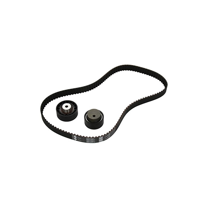 INA 530 0160 10 Timing Belt Set