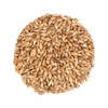 신선약초 국산 볶은 맥아 500g Fresh Herbal Domestic Roasted Barley