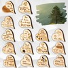 sagl.tirol Mini Swiss pine heart in high-quality packaging (the most
