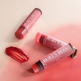 Burt's Bees Tinted Lip Balm 4.25g (Select 1 of 4) - Daisy / 버츠비 틴티드 립밤 4.25g 4종 중 택 1 - 데이지