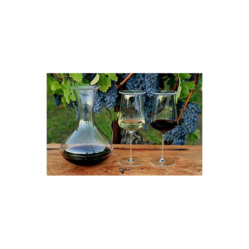 vinolid Wine Glass Cover - 4 Pack