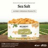 Belmont Peanuts Gourmet Sea-Salted Virginia Peanuts, 20 oz (1 Pack)