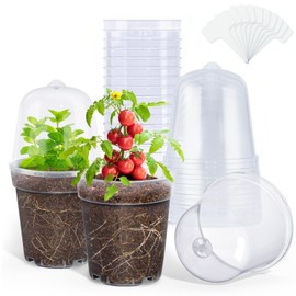 homenote Clear Nursery Pots for Plants,5 Inch Plant Pot for Planting with Humidity Domes Plastic Seedling Pots with Drainage Holes Seed Starter Pot Flower Pots High Transparency (15 Pack)