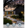 LEONLITE Low Voltage Path Lights, 3W LED Landscape Pathway Lights,