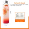 Epica Clear Glass Bottles with Lids, 18oz Resuable Glass Water