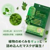 Rear Raster Face Mask, Wormwood Mask, Tsubuksa Soothing Hydro Realistic