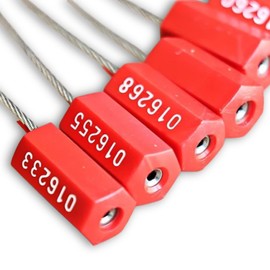 Leap Raupe [With Serial Number] Anti-Swap Tag, Numbered Security Tag, Steel, Random Numbers, 10 Pieces, Red