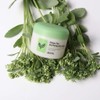 SKIN79 Green Tea Purifying Clay Mask (Pore & Deep Cleansing)