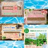 Ryukyu Niimi Moringa Grain Neo Produced in Okinawa, 300 Capsules