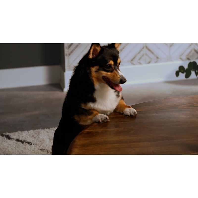 Varathane Triple Thick Polyurethane Clear Wood Finish | Self-Leveling Formula