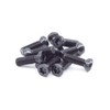 Black Oxide Star Drive Weaver Oval Head Gun Screws -