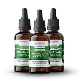 Prana Vata Nasya Oil Organic - Herbal Nasal Drops for Clarity of Mind, Improve Concentration, Soothe Headaches (3 Pack)