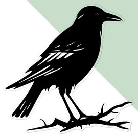 Medium 210mm 'Crow On Spikey Branch' Clear Static Window Cling Sticker/Decal (Black) (WC00101254)