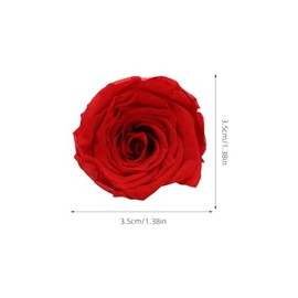 CALLARON 12Piezas Flores Preservadas Rosa Roja, Ramo Artificial para Boda, Decoración Floral Caja Regalo, Arreglos DIY para San Valentín, Cumpleaños y Eventos Especiales
