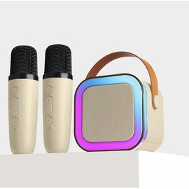 Mini karaoke machine with microphone sound system, portable karaoke machine with 2 wireless microphones, birthday gifts for girls and children aged 4-12, family gatherings Mini Karaoke - Color: pink