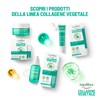 Equilibra, Collagene Vegetale Crema Viso Anti-rughe Rimpolpante, 50 ml ,