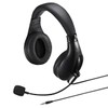 Sanwa Supply MM-HS401BK Headset, 0.1 inch (3.5 mm) Mini Plug