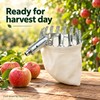 Fruit Picker Tool for Harvesting Tree Fruit – 14cm Fruit