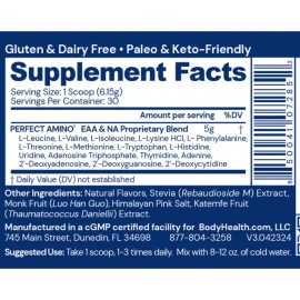 BodyHealth Perfect Amino Powder – BCAA & EAA, 30 Servings | Chocolate