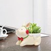 QUINTRA Creative Cartoon Cute Small Animals Fleshy Flower Pot Micro
