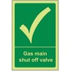VSafety 23012AU-G "Gas Main Shut Off Control Valve" Safe Condition