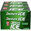 Dentyne Ice Spearmint Sugar-Free Chewing Gum, 9 Packs of 16