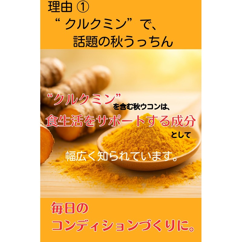 Nakazen Autumn Uchini, 130 mg x 650 Tablets, Autumn Ukon