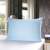 townssilk Both Side 100% 19mm Silk Pillowcase Queen Size Pillow