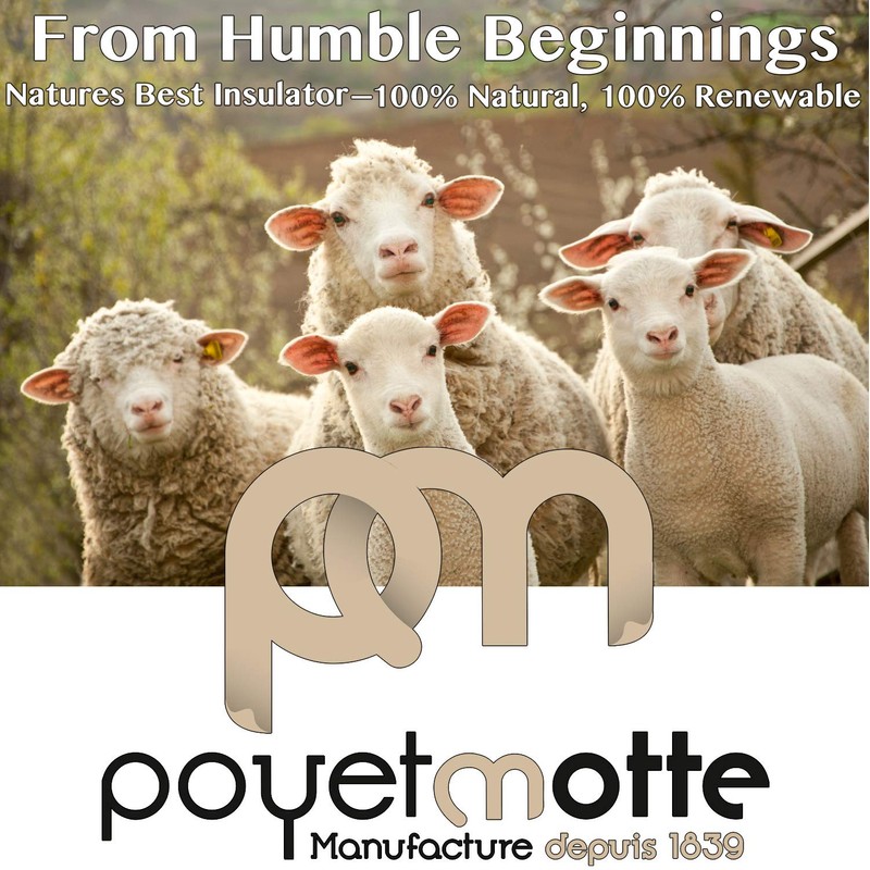 Poyet Motte Rivoli Solid 400GSM 100% Virgin Wool Blanket, Medium/Heavy