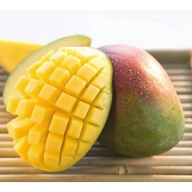 Tree Carrie Semi Dwarf MANGO TREE GRAFTED (2-4 Feet Tall). Ship To All States.