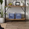 DII Non Woven Storage Collection Polka Dot Collapsible Bin, French