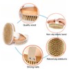 2 Pcs Dry Brushing Body Brush,Natural Bristle Exfoliating Body Scrubbers