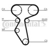 Contitech CT887 Timing Belt