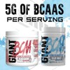 Giant Sports Performance Edge Series BCAA 60 Serving (Watermelon, 60