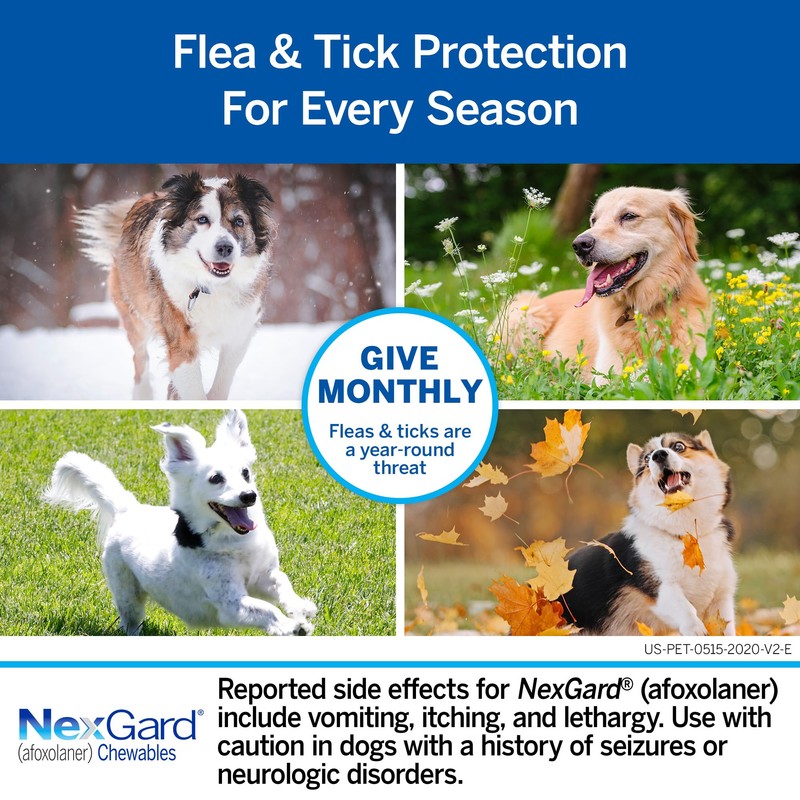 NexGard® (afoxolaner) Flea and Tick Protection for Dogs Oral Soft