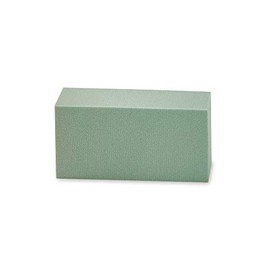 FloraCraft Bloque Floral DryF de .8 Pulgadas x 2.8 Pulgadas x 5.8 Pulgadas, Verde