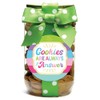 Nam's Bits Chocolate Chip Cookies - Yummy Cookies Pint Jar