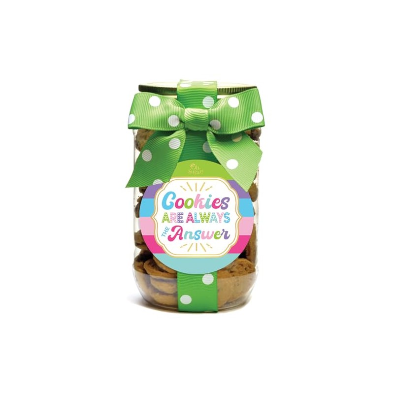 Nam's Bits Chocolate Chip Cookies - Yummy Cookies Pint Jar