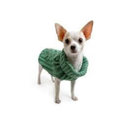 Huskimo Cali Knit Dog Jumper, Gumtree, 22cm