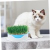 ORFOFE Soilless Hydroponic Cat Grass Planter Box Easy to Use
