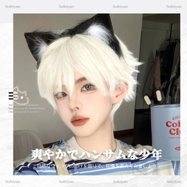 Sofeiyan Men's Wig, Short Wig, Men's Clothing, Harajuku, Handsome, White, Full Wig, Natural, Small Face, Heat Resistant, Popular, Cosplay, Unisex, Everyday Use, Wig Net Included