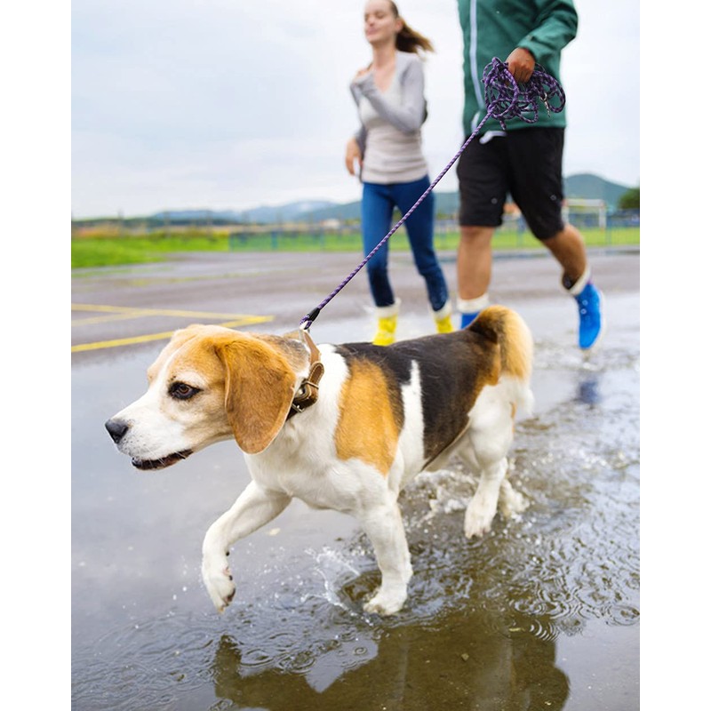 100FT Extra Long Leashes for Dog Training, Reflective Threads Check
