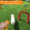 2 Pack Dog Training Clicker Dog Clicker Dog Whistle Dog