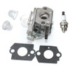 Carburetor For Echo GT-2000GT-2000SB PE-2000 PP-1200 PP-800 SHC-1700 SHC-2100 SRM-2100