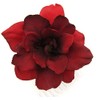 Red Apple Blossom Silk Hair Comb