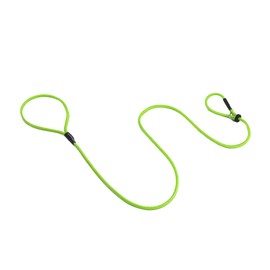 Dog & Field Signature Slip Lead For Dogs, Lime Green. 1.25m Lightweight Dog Slip Lead with Sliding Rubber Stopper. Training Lead For Dogs, Thin Slip Lead, No Collar or Harness Needed (Lime Green)