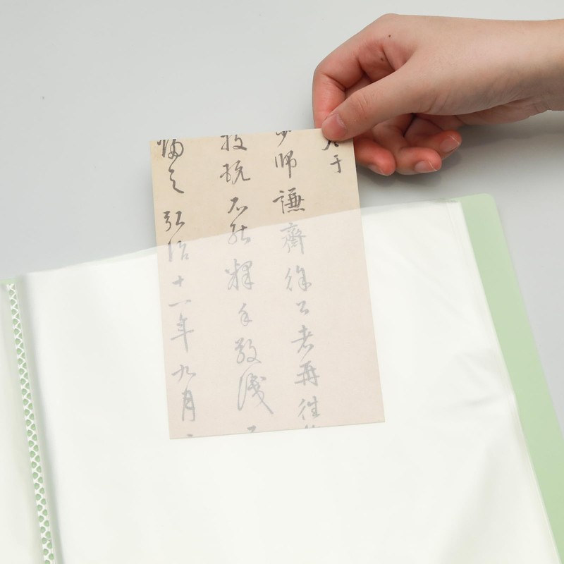 Lilaly 1 Pack Document Organizer Folio, Binder with Plastic Sleeves